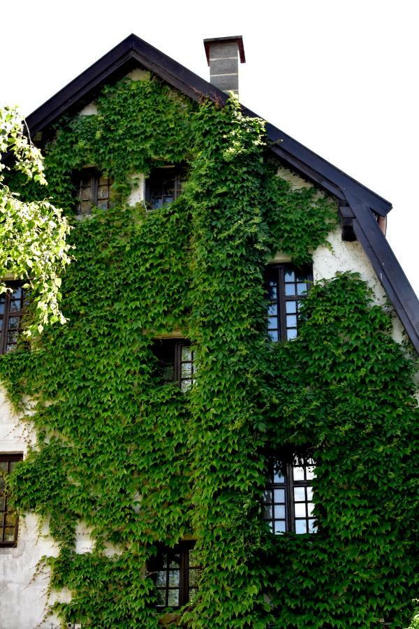 Hostel Przy Targu Rybnym Gdańsk Kültér fotó